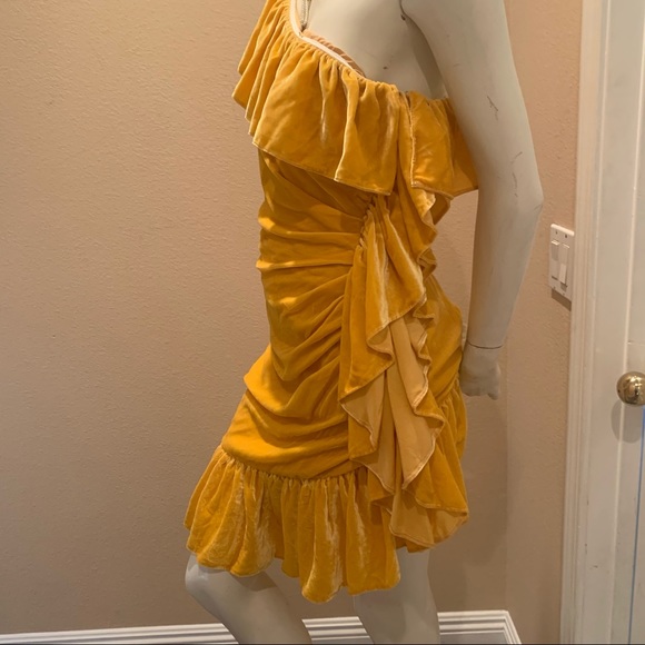 Mestiza New York Flamenco Velvet Ruffle Dress - Picture 3 of 8